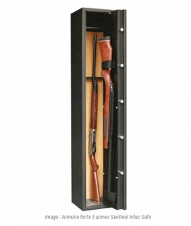 ARMOIRE FORTE 5 ARMES SENTINEL INFAC SAFE